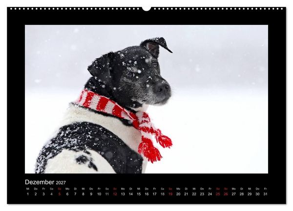 Produktbild: MIXlinge (hochwertiger Premium Wandkalender 2027 DIN A2 quer), Kunstdruck in Hochglanz