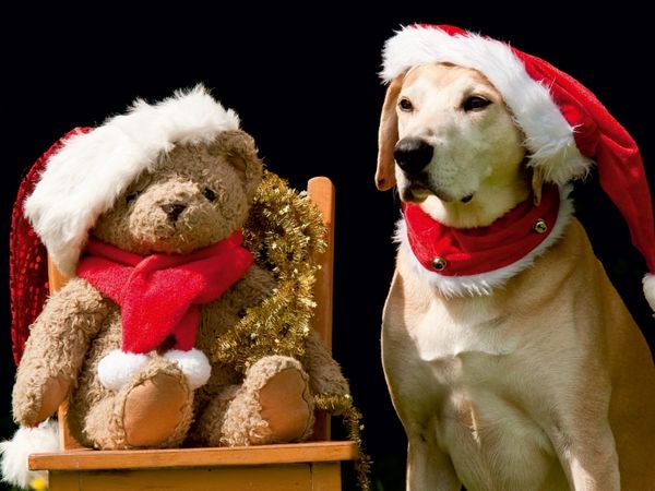 Produktbild: Frohe Weihnachten! (Puzzle)