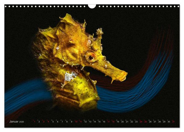 Produktbild: Artwork Unterwasser - Erlebnis Tauchen (Wandkalender 2026 DIN A3 quer), CALVENDO Monatskalender