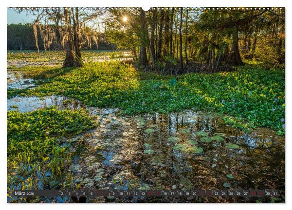 Produktbild: Natur Paradies Mississippi Delta (hochwertiger Premium Wandkalender 2026 DIN A2 quer), Kunstdruck in Hochglanz