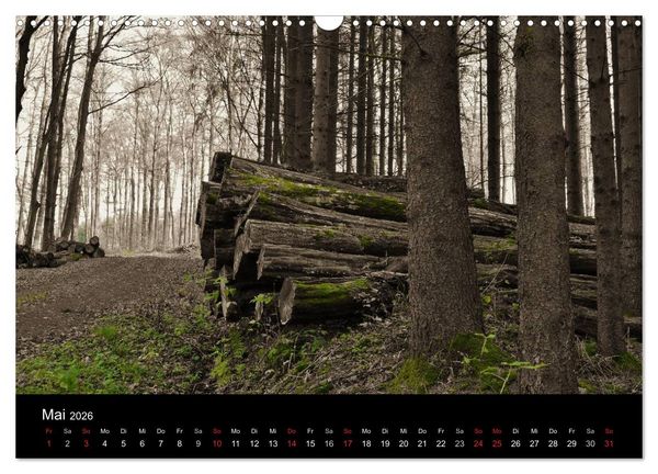 Produktbild: Faszination Wald. Waldimpressionen aus Nordhessen von Lutz Klapp (Wandkalender 2026 DIN A3 quer), CALVENDO Monatskalender