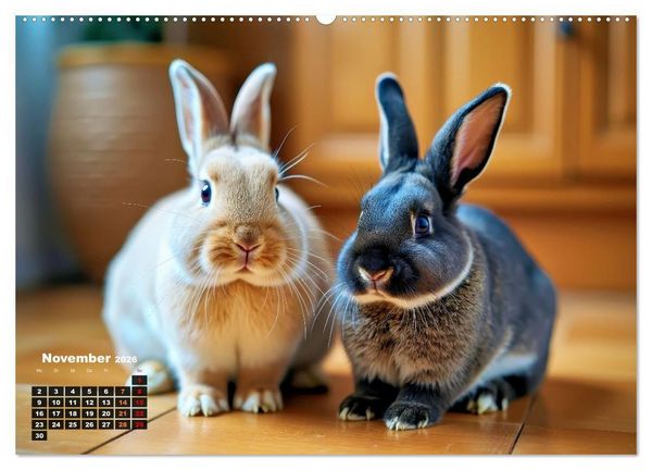 Produktbild: Kuschelige Kaninchen (Wandkalender 2026 DIN A2 quer), CALVENDO Monatskalender