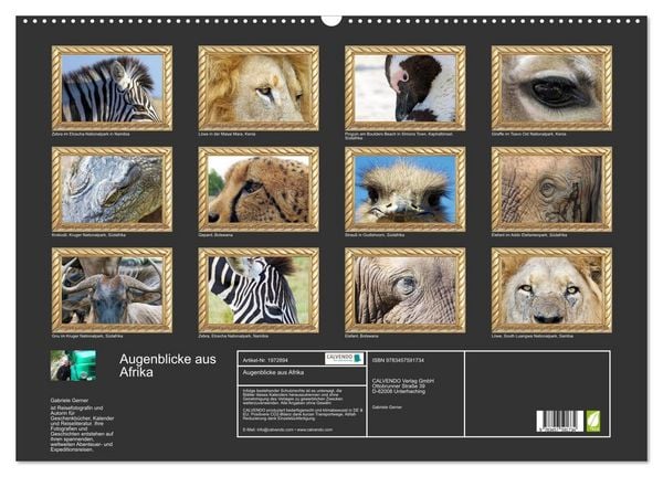 Produktbild: Augenblicke aus Afrika (Wandkalender 2026 DIN A2 quer), CALVENDO Monatskalender
