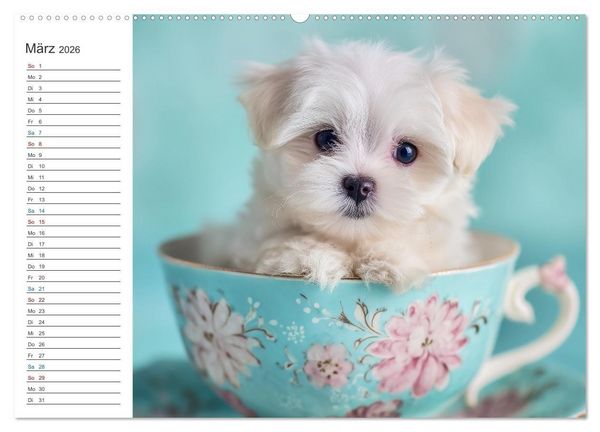 Produktbild: Hundegl&uuml;ck (hochwertiger Premium Wandkalender 2026 DIN A2 quer), Kunstdruck in Hochglanz