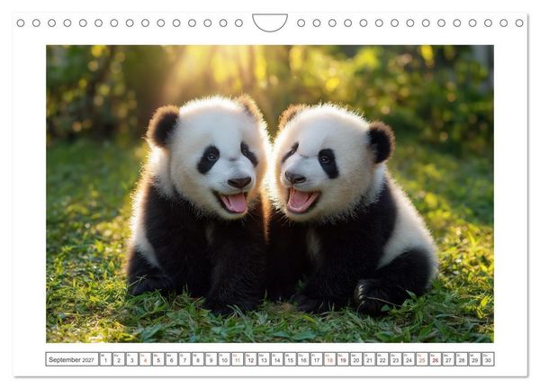 Produktbild: Panda Magie (Wandkalender 2027 DIN A4 quer), CALVENDO Monatskalender