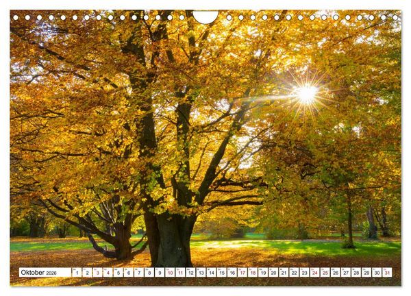 Produktbild: F&uuml;rstenfeldbruck - Streifzug durch Natur und Stadt (Wandkalender 2026 DIN A4 quer), CALVENDO Monatskalender