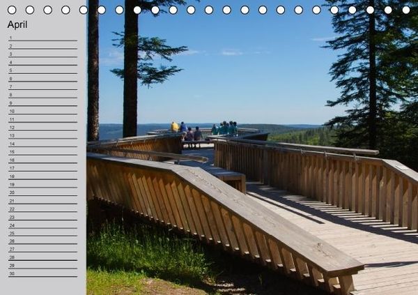 Produktbild: Waldges&auml;nge - Geburtstagskalender (Tischkalender immerw&auml;hrend DIN A5 quer)