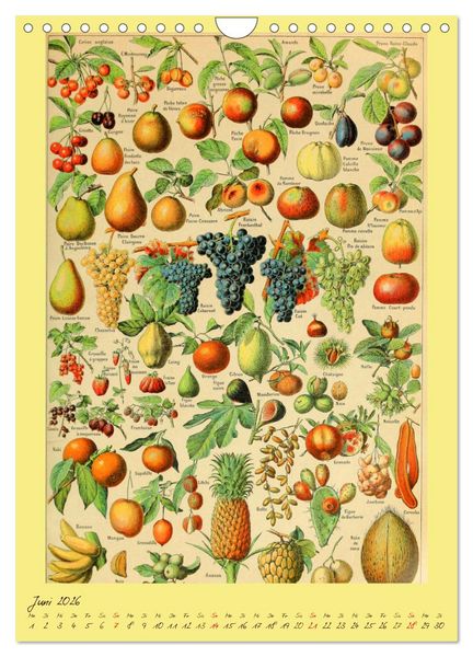 Produktbild: Pr&auml;chtige Naturtafeln (Wandkalender 2026 DIN A4 hoch), CALVENDO Monatskalender