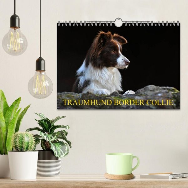 Produktbild: Traumhund Border Collie (Wandkalender 2026 DIN A4 quer), CALVENDO Monatskalender