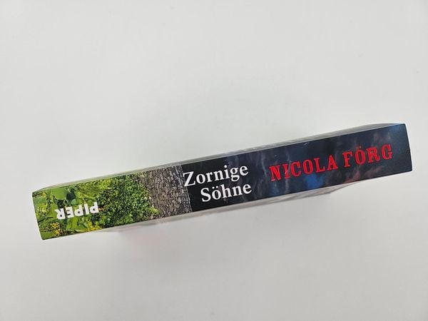 Produktbild: Zornige Söhne