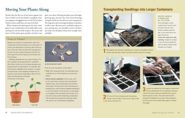 Produktbild: The Vegetable Gardener's Bible, 2nd Edition