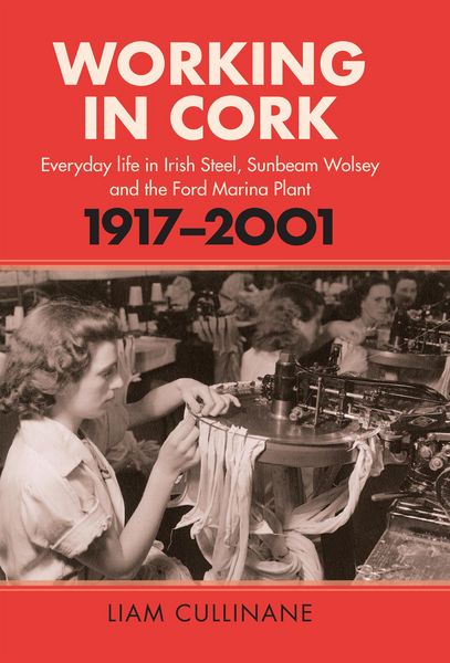 Produktbild: Working in Cork