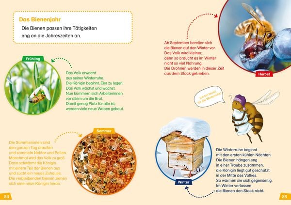 WAS IST WAS Erstes Lesen Band 5. Bienen