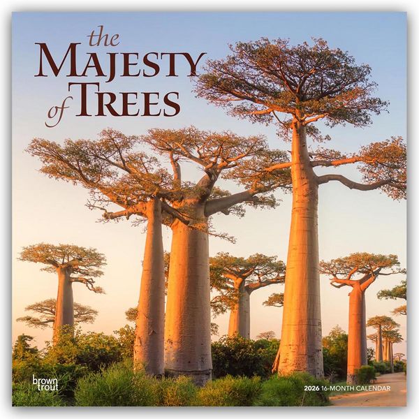 Produktbild: The Majesty of Trees &ndash; Die Erhabenheit der B&auml;ume 2026 &ndash; 16-Monatskalender