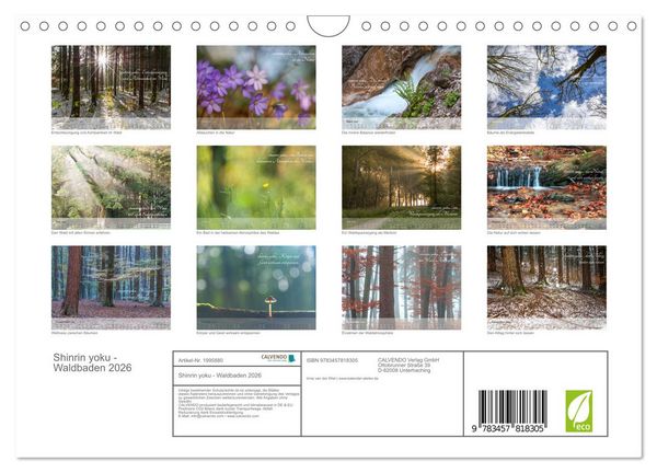 Produktbild: Shinrin yoku - Waldbaden 2026 (Wandkalender 2026 DIN A4 quer), CALVENDO Monatskalender
