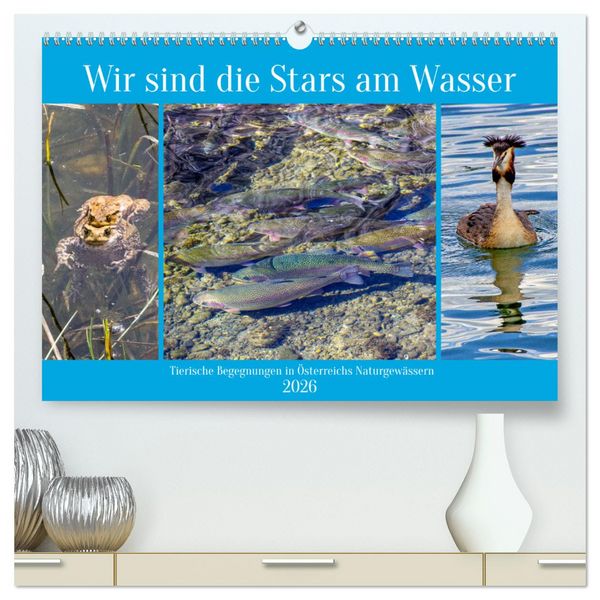 Produktbild: Wir sind die Stars am Wasser (hochwertiger Premium Wandkalender 2026 DIN A2 quer), Kunstdruck in Hochglanz