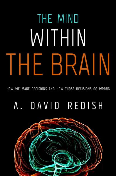 Produktbild: The Mind within the Brain
