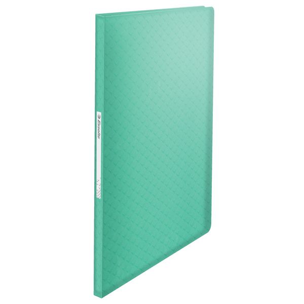 LEITZ Sichtbuch Colour'Breeze 40 Hüllen grün DIN A4