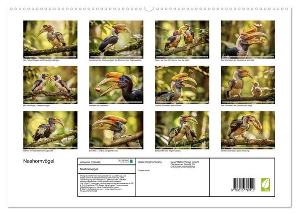 Produktbild: Nashornv&ouml;gel (hochwertiger Premium Wandkalender 2027 DIN A2 quer), Kunstdruck in Hochglanz