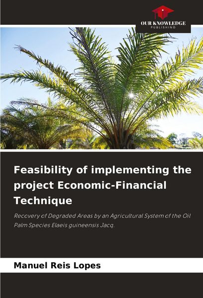 Produktbild: Feasibility of implementing the project Economic-Financial Technique