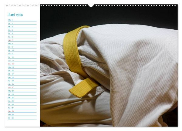 Produktbild: Kampfsport (hochwertiger Premium Wandkalender 2026 DIN A2 quer), Kunstdruck in Hochglanz