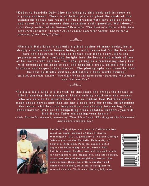Produktbild: Horse Tales: Teddy and Just'n Come to an Understanding