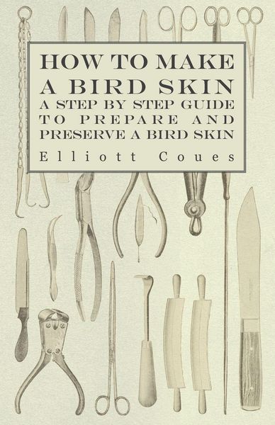 Produktbild: How to Make a Bird Skin - A Step by Step Guide to Prepare and Preserve a Bird Skin