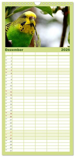 Produktbild: Familienplaner 2026 - Wellensittiche mit 5 Spalten (Wandkalender, 21 x 45 cm) CALVENDO