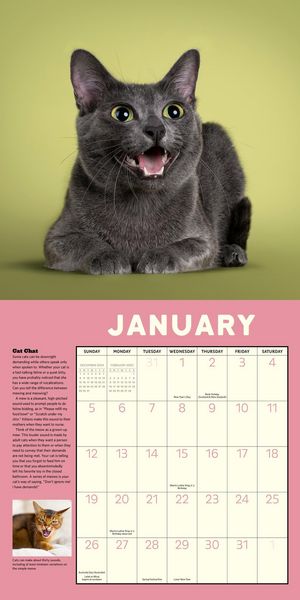 Produktbild: Workman Calendars: How to Speak Cat Wall Calendar 2025