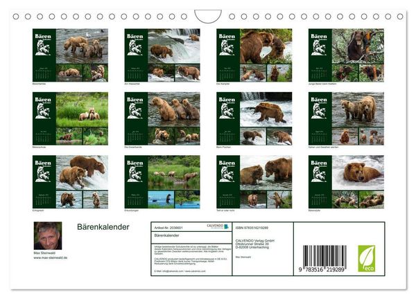 Produktbild: B&auml;renkalender (Wandkalender 2026 DIN A4 quer), CALVENDO Monatskalender