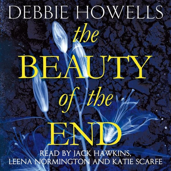 Produktbild: The Beauty of the End