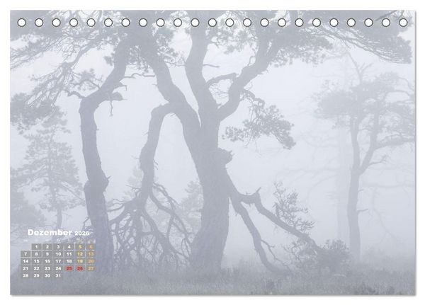 Produktbild: Naturschauspiele in Schottland (Tischkalender 2026 DIN A5 quer), CALVENDO Monatskalender