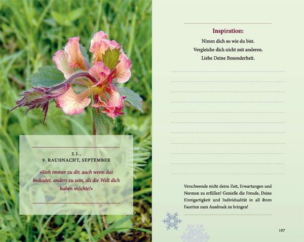 Produktbild: Rauhn&auml;chte: Die geheimnisvolle Zeit zwischen den Jahren (erweiterte Neuausgabe)