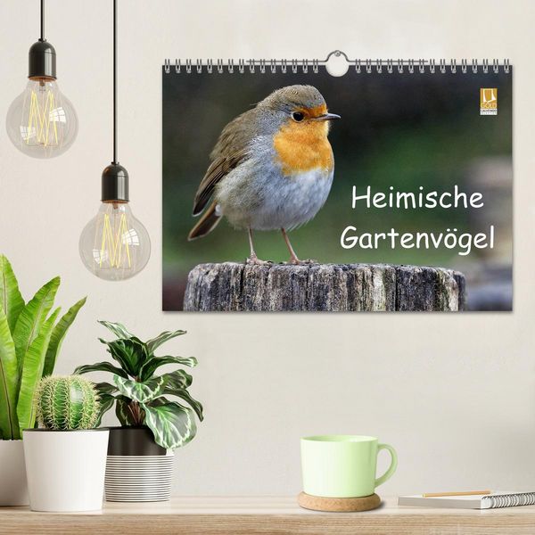 Produktbild: Heimische Gartenv&ouml;gel (Wandkalender 2026 DIN A4 quer), CALVENDO Monatskalender
