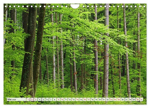 Produktbild: Hegau-Landschaften (Wandkalender 2026 DIN A4 quer), CALVENDO Monatskalender