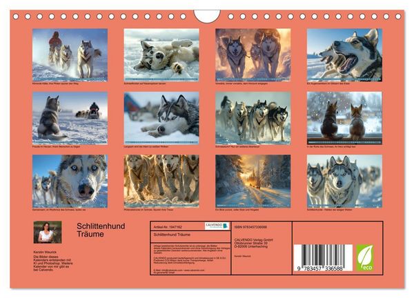 Produktbild: Schlittenhund Tr&auml;ume (Wandkalender 2026 DIN A4 quer), CALVENDO Monatskalender