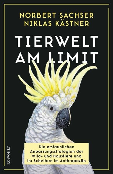 Produktbild: Tierwelt am Limit