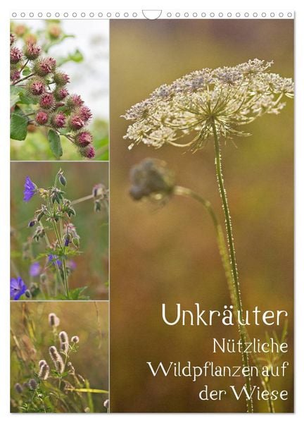 Produktbild: Unkr&auml;uter - N&uuml;tzliche Wildpflanzen auf der Wiese (Wandkalender 2026 DIN A3 hoch), CALVENDO Monatskalender