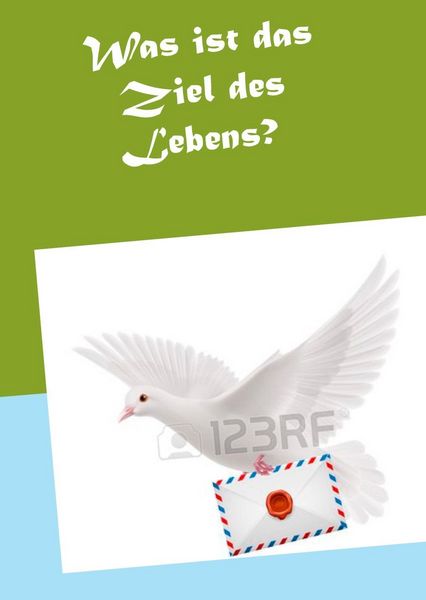 Produktbild: Was ist das Ziel des Lebens?