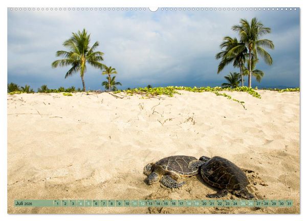Produktbild: Big Island - Reise in eine unvergessliche Welt (hochwertiger Premium Wandkalender 2026 DIN A2 quer), Kunstdruck in Hochglanz