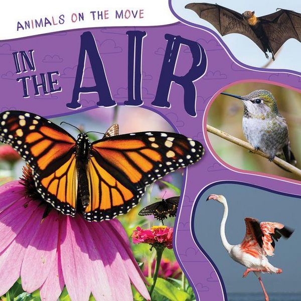 Produktbild: In the Air