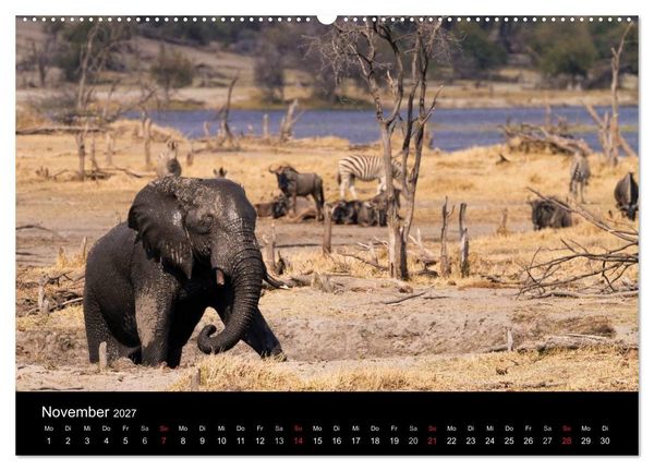 Produktbild: Elefanten - Die sanften Riesen Afrikas (Wandkalender 2027 DIN A2 quer), CALVENDO Monatskalender