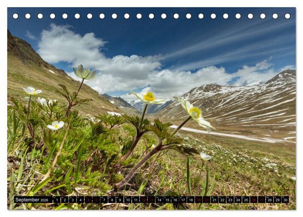 Produktbild: Nationalpark Gran Paradiso (Tischkalender 2026 DIN A5 quer), CALVENDO Monatskalender