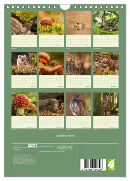 Produktbild: Waldmomente (Wandkalender 2026 DIN A4 hoch), CALVENDO Monatskalender