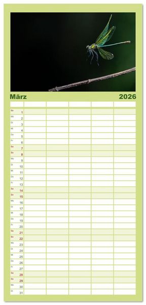 Produktbild: Familienplaner 2026 - Naturwunder Libellen mit 5 Spalten (Wandkalender, 21 x 45 cm) CALVENDO