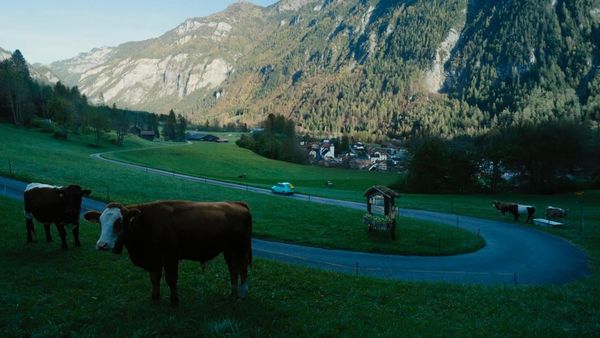 Produktbild: Sew Torn - F&auml;den des Verbrechens