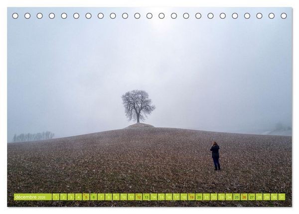 Produktbild: Solitude verdoyante (Calendrier de bureau 2026 DIN A5 vertical), CALVENDO calendrier mensuel