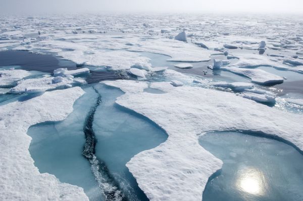 Produktbild: Planet Erde/Frozen Planet/Unser blauer Planet - Die Gesamtedition [8 BRs]
