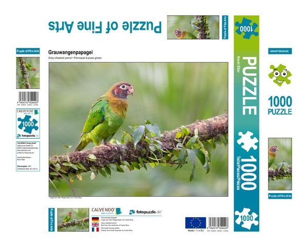 Produktbild: CALVENDO Puzzle Grauwangenpapagei | 1000 Teile Lege-Gr&ouml;&szlig;e 64x48cm Foto-Puzzle f&uuml;r gl&uuml;ckliche Stunden