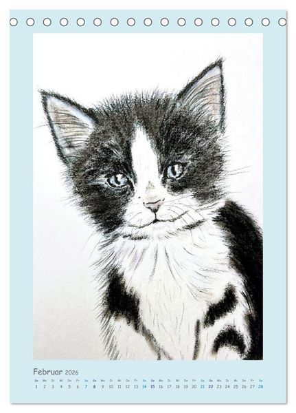 Produktbild: PortraiTierART Samtpf&ouml;tchen (Tischkalender 2026 DIN A5 hoch), CALVENDO Monatskalender